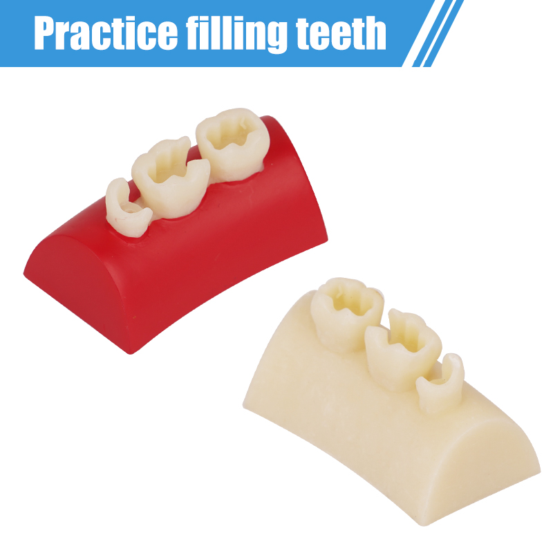 Stethoscope - Dental Inlay Exercise Model Block Composite